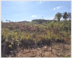  2024Ÿ1571   伺 ︮ 27-7      (Ӿ)