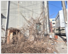  2024Ÿ��1878 ���� ���ʽ� �߾ӵ� 481-80       ����(����)���