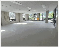  2024Ÿ12199     486 2202ȣ     ,繫ǰ