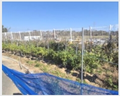  2024Ÿ��1588  ���ð��