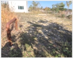  2024Ÿ��1588  ���ð��