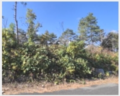  2024Ÿ��1588  ���ð��