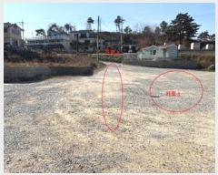  2024Ÿ1700   ׿ո  274      (1)