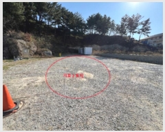  2024Ÿ1700   ׿ո  274      (1)