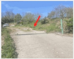  2024Ÿ��1847  �����