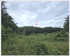  2024Ÿ11806  籺 ϸ  196-2      (Ӿ)