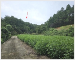  2024Ÿ11806  籺 ϸ  196-2      (Ӿ)