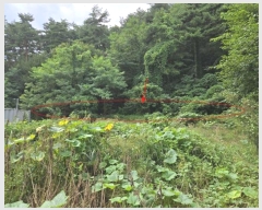  2024Ÿ11806  籺 ϸ  196-2      (Ӿ)