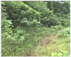  2024Ÿ11806  籺 ϸ  196-2      (Ӿ)