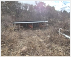  2024Ÿ12403  籺  õ 166      ð