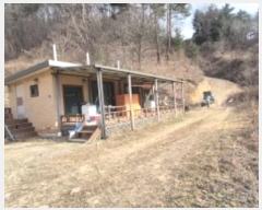  2024Ÿ12403  籺  õ 166      ð