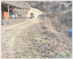  2024Ÿ12403  籺  õ 166      ð