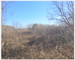  2024Ÿ��12441 ���� ������ �伺�� ��ϸ� ��32      ����(�Ӿ�)���