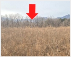  2024Ÿ��12441 ���� ������ �伺�� ��ϸ� ��32      ����(�Ӿ�)���