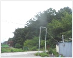  2024Ÿ��1161  �Ӿ߰��