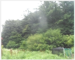  2024Ÿ��1161  �Ӿ߰��