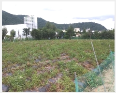  2024Ÿ1451  â θ θ 329      ()