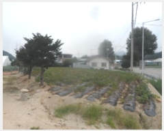  2024Ÿ1451  â θ θ 329      ()