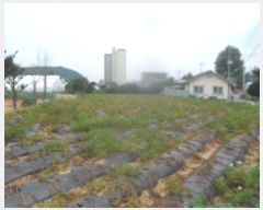  2024Ÿ1451  â θ θ 329      ()