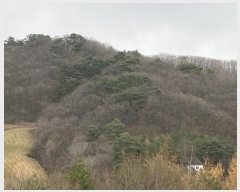  2024Ÿ1888  â ɸ ׸ 491-14      (Ӿ)