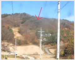  2024Ÿ1888  â ɸ ׸ 491-14      (Ӿ)