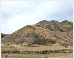  2024Ÿ1932     42      (Ӿ)