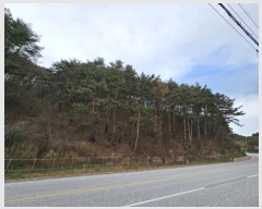  2024Ÿ1932     42      (Ӿ)