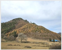  2024Ÿ1932     42      (Ӿ)