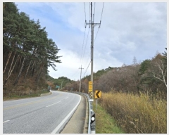  2024Ÿ1932     42      (Ӿ)