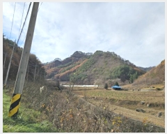  2024Ÿ1932     42      (Ӿ)