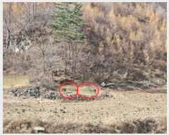  2024Ÿ1932     42      (Ӿ)