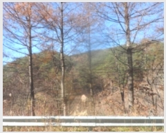  2024Ÿ1932     42      (Ӿ)