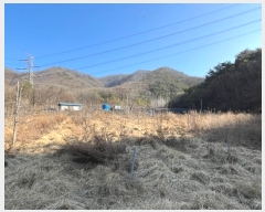  2024Ÿ��30213 ���� ������ �ϸ� ���� 386      ����(�Ӿ�)���