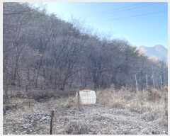  2024Ÿ��30213 ���� ������ �ϸ� ���� 386      ����(�Ӿ�)���