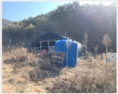  2024Ÿ��30213 ���� ������ �ϸ� ���� 386      ����(�Ӿ�)���