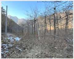  2024Ÿ��30213 ���� ������ �ϸ� ���� 386      ����(�Ӿ�)���