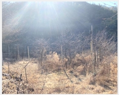  2024Ÿ��30213 ���� ������ �ϸ� ���� 386      ����(�Ӿ�)���