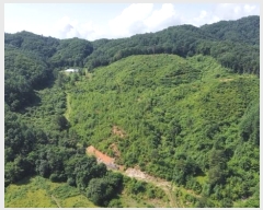  2024Ÿ31506  â  ̸ 319      (Ӿ)