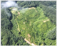  2024Ÿ31506  â  ̸ 319      (Ӿ)