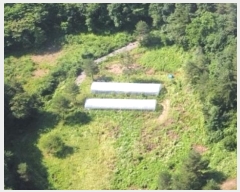  2024Ÿ31506  â  ̸ 319      (Ӿ)