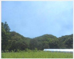  2024Ÿ31506  â  ̸ 319      (Ӿ)