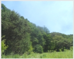  2024Ÿ31506  â  ̸ 319      (Ӿ)