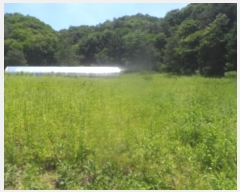  2024Ÿ31506  â  ̸ 319      (Ӿ)