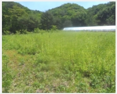  2024Ÿ31506  â  ̸ 319      (Ӿ)