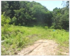  2024Ÿ31506  â  ̸ 319      (Ӿ)