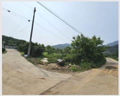  2024Ÿ31827   ŵ õ 374      (1)