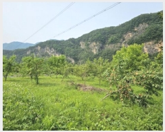  2024Ÿ31827   ŵ õ 374      (1)