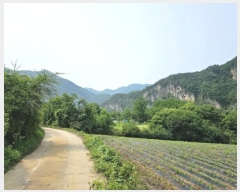  2024Ÿ31827   ŵ õ 374      (1)