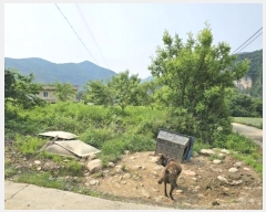  2024Ÿ31827   ŵ õ 374      (1)