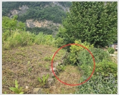  2024Ÿ31827   ŵ õ 374      (1)